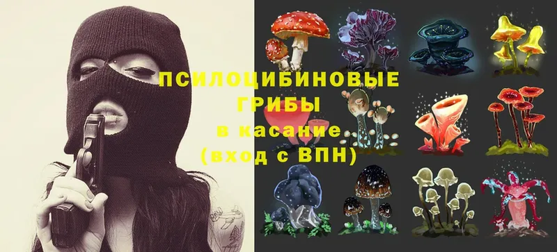 Псилоцибиновые грибы Magic Shrooms  наркошоп  Волгоград 